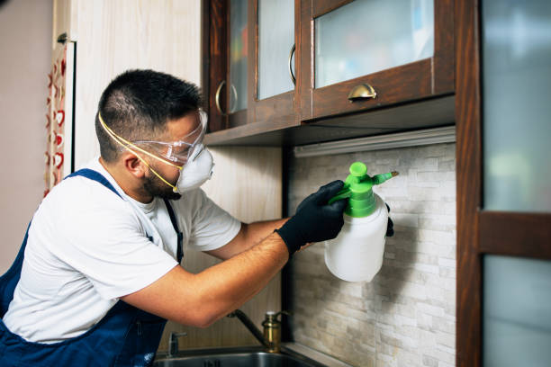Best Bed Bug Extermination  in Oak Ridge, FL