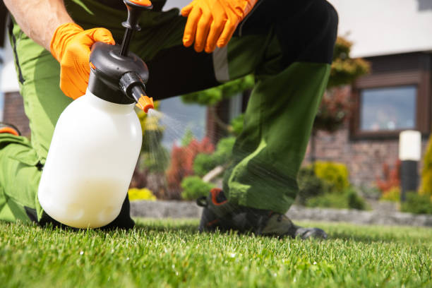 Best Wildlife Control Services  in Oak Ridge, FL