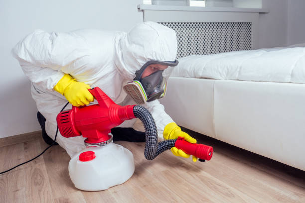 Best Pest Control Near Me  in Oak Ridge, FL