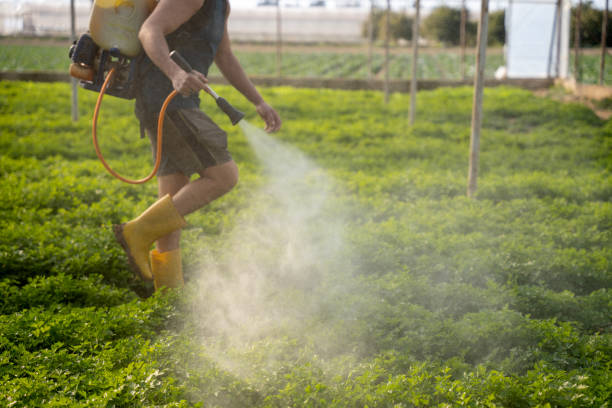 Best Mosquito Control Services  in Oak Ridge, FL