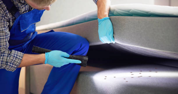 Best Local Pest Control Services  in Oak Ridge, FL