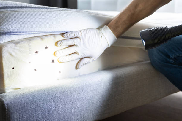 Best Pest Control Near Me in Oak Ridge, FL