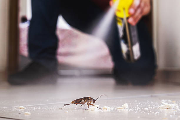 Flea Control Services in Oak Ridge, FL