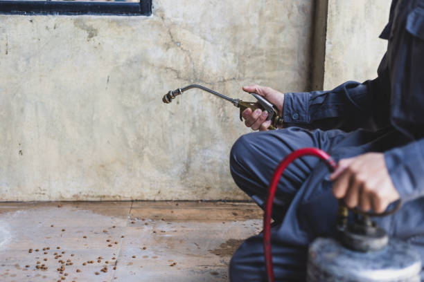 Best Pest Removal Services  in Oak Ridge, FL