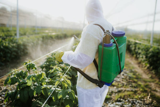 Pest Prevention Services in Oak Ridge, FL